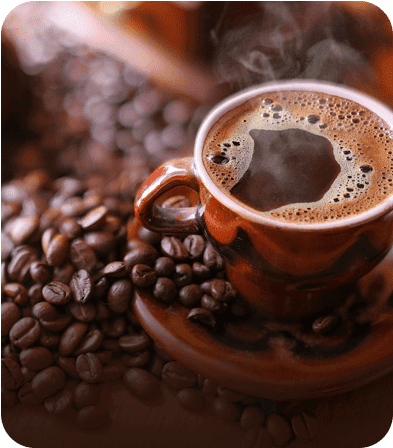 jetinno premium self servis